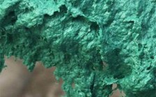 玻璃鳞片防腐一般1平方米用量是多少？